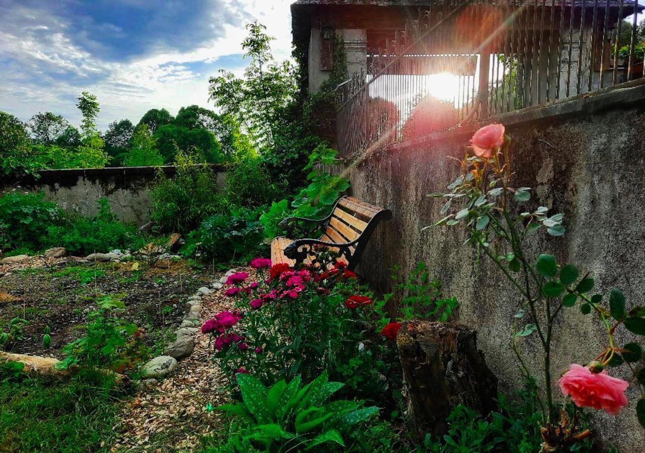 Domaine Lou Castet Acomodação com café da manhã Tuzaguet Exterior foto