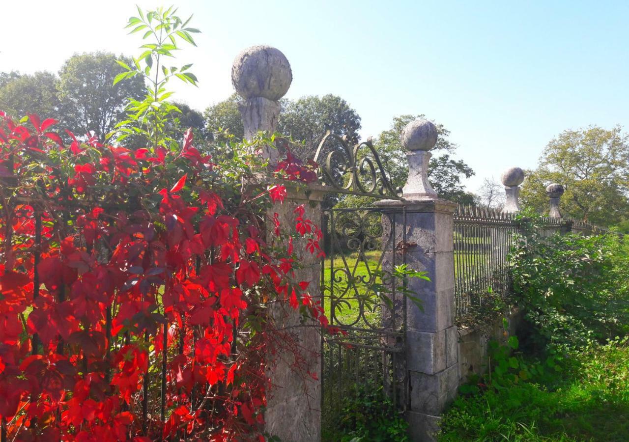 Domaine Lou Castet Acomodação com café da manhã Tuzaguet Exterior foto